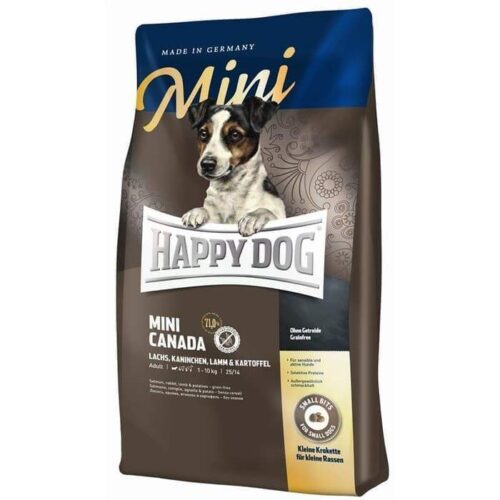 Happy dog Mini Canada
