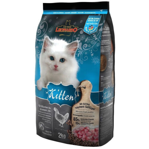 Leonardo Kitten Chicken