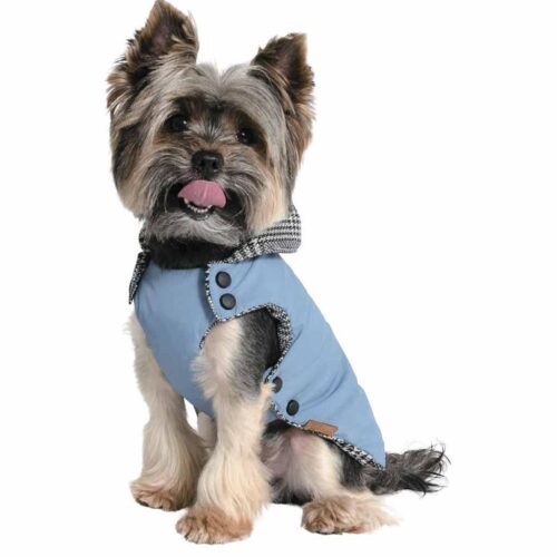 Жилет Чарли