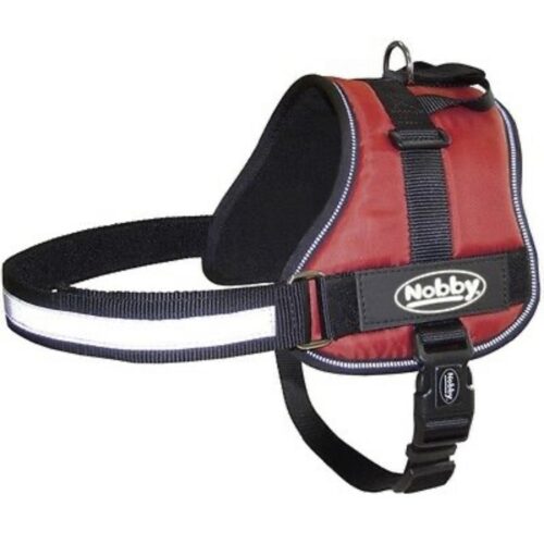 Nobby Seguro red