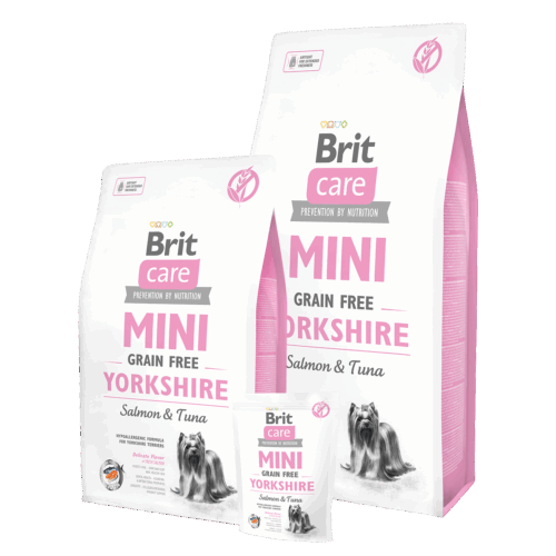 Brit Care Mini Yorkshire