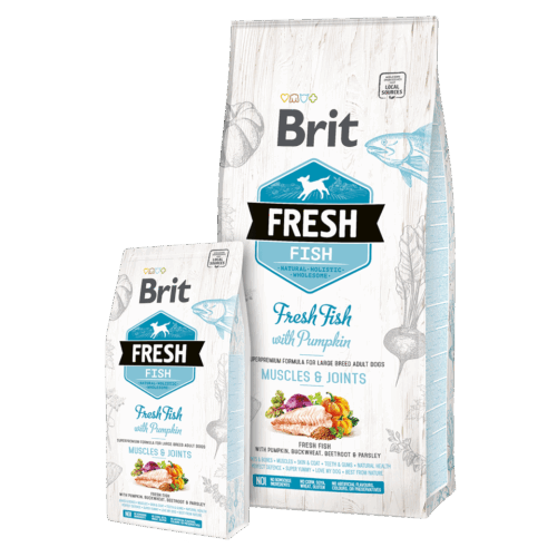 Brit Fresh Fish with Pumpkin Adult