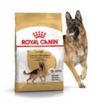 Royal Canin German Shepherd Adult