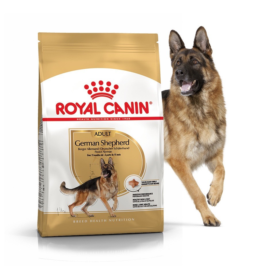 Royal Canin German Shepherd Adult