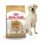 Royal Canin Labrador Adult