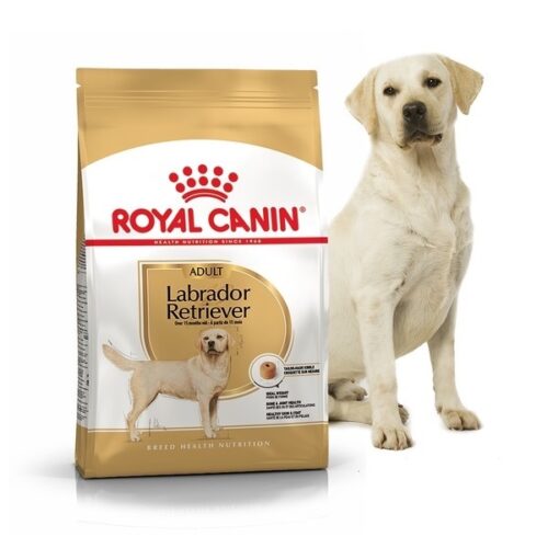 Royal Canin Labrador Adult