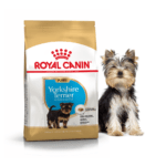 Royal Canin Yorkshire Junior