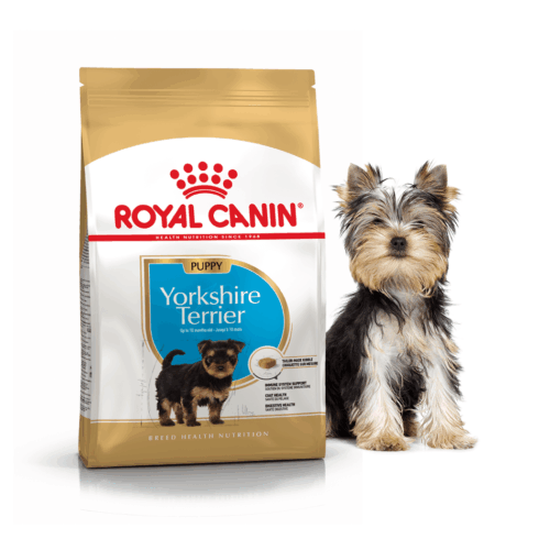 Royal Canin Yorkshire Junior