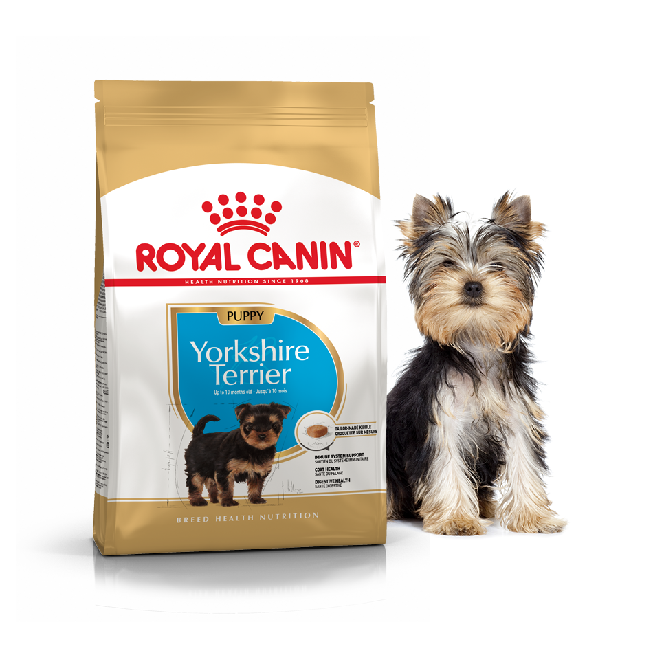 Royal canin yorkshire terrier hot sale junior 7 5 kg