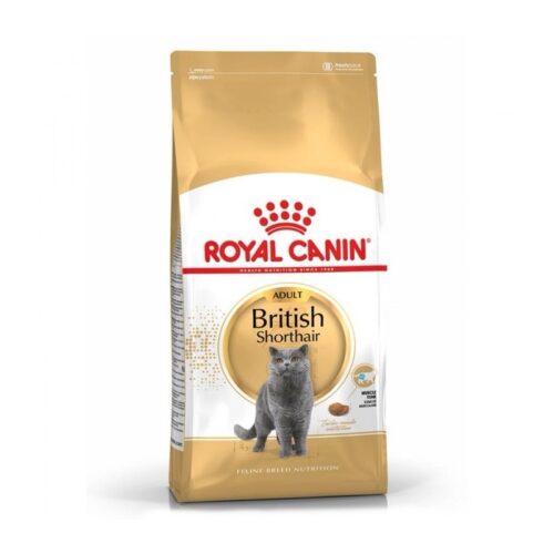 Royal Canin British Shorthair Adult