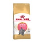 Royal Canin Kitten British Shorthair