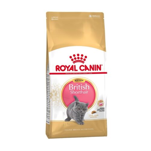 Royal Canin Kitten British Shorthair