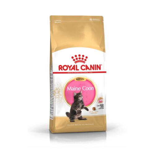 Royal Canin Kitten Maine Coon