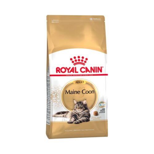 Royal Canin Maine Coon