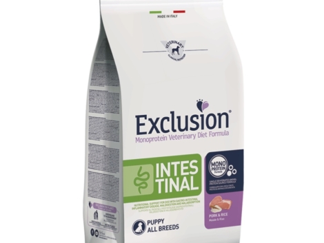 Exclusion Dog Vet diet Intestinal Puppy
