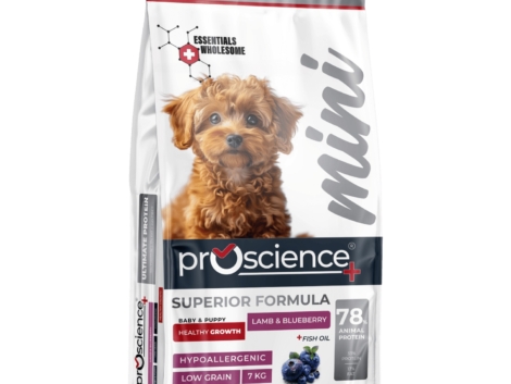 ProScience Mini Puppy Dog Lamb & Blueberry